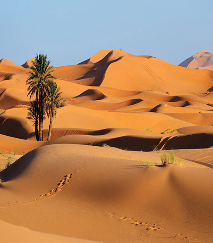 tour desert maroc